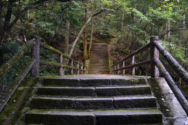 istock Stairs around the Wulingyuan Scenic Area 859246974