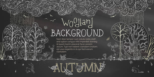 Vector woodland autumn blackboard background. Chalk wild animals and birds in forest. Fox, deer, hare, squirrel, bear, racoon, hedgehog, owl, beaver. Autumn wet weather. Trees and falling leaves. woodland park zoo stock illustrations