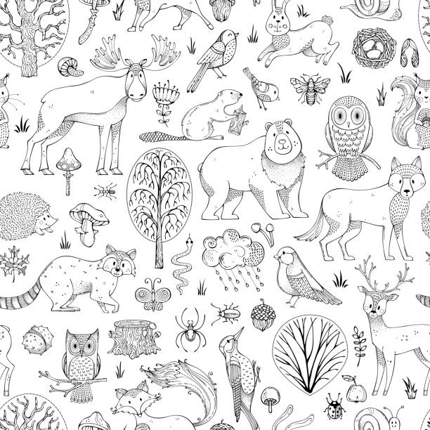 Vector doodles woodland seamless pattern. Autumn trees, mushrooms and leaves. Wild animals, birds and insects. Fox, wolf, deer, moose, bear, hare, squirrel, racoon, hedgehog, owl, bee, beaver. background of a owl black and white stock illustrations