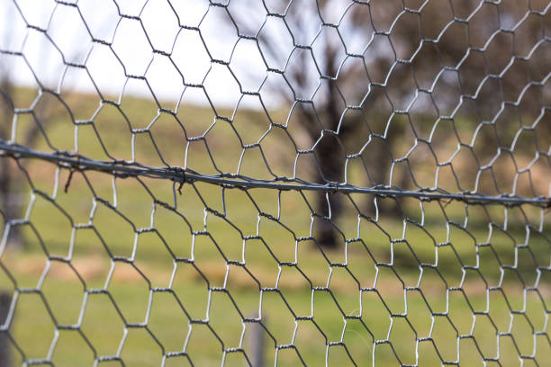 istock Chicken wire fence makes a pattern against a green grass rural background 859250936