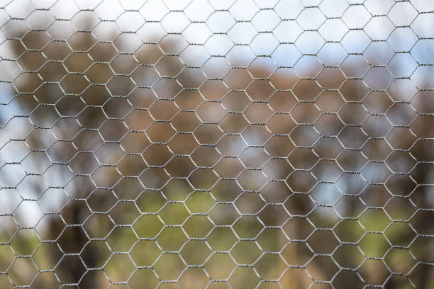 istock Chicken wire fence makes a pattern against a green grass rural background 859250970