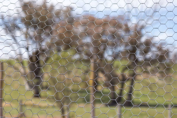 istock Chicken wire fence makes a pattern against a green grass rural background 859250978