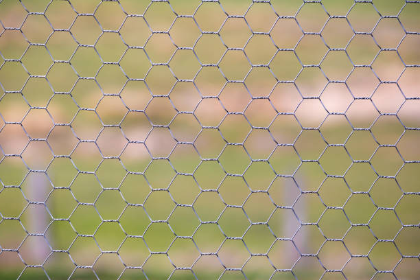 istock Chicken wire fence makes a pattern against a green grass rural background 859250988