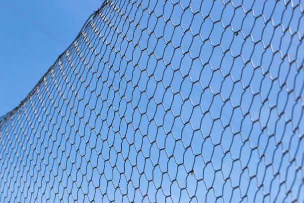 istock Chicken wire fence makes a pattern against the blue sky 859251002