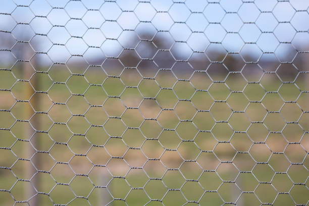 istock Chicken wire fence makes a pattern against a green grass rural background 859251008