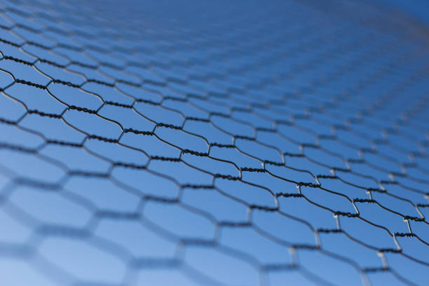 istock Chicken wire fence makes a pattern against the blue sky 859251040