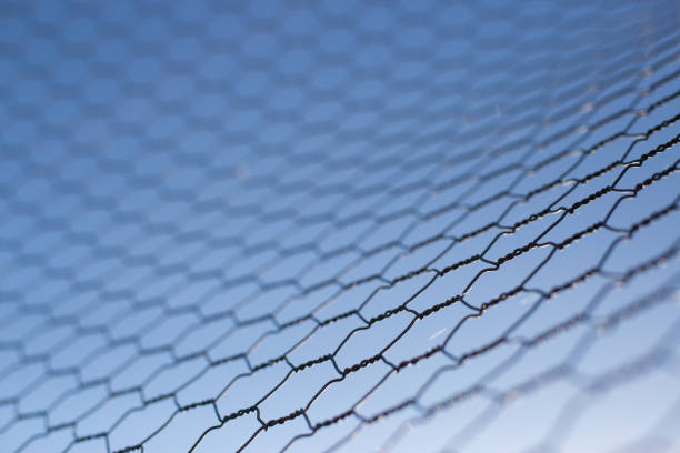 istock Chicken wire fence makes a pattern against the blue sky 859251048