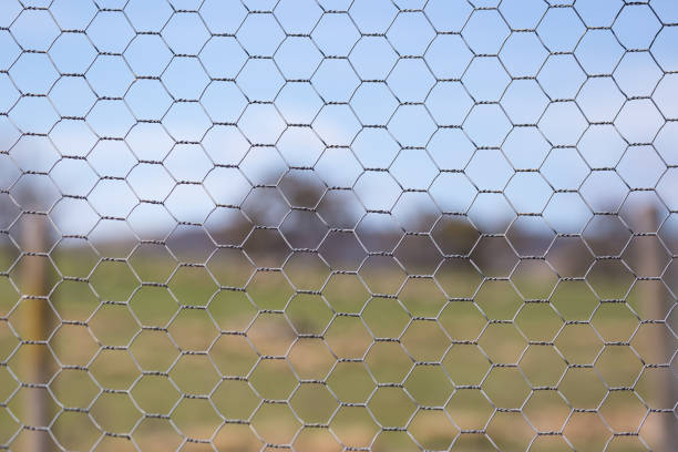 istock Chicken wire fence makes a pattern against a green grass rural background 859251084