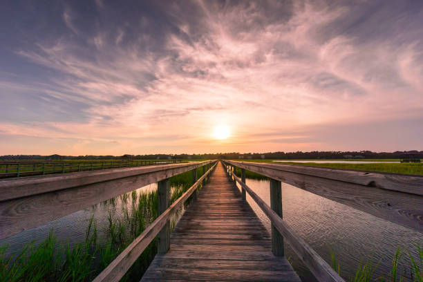 boardwalk over a salt marsh at sunset Boardwalk over the marsh in Pawleys Island in South Carolina at sunset tidal inlet stock pictures, royalty-free photos & images