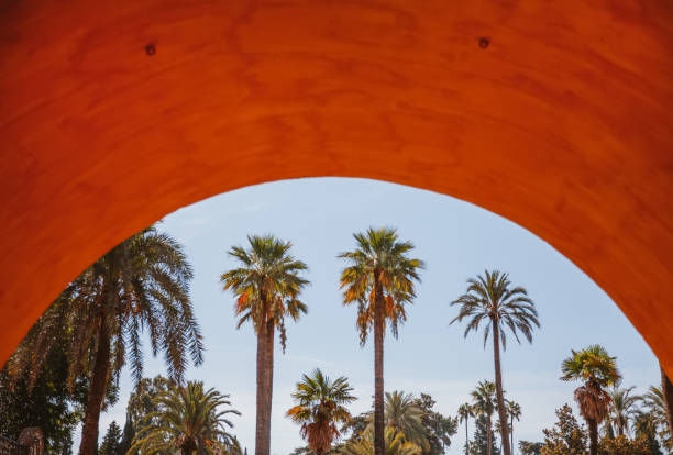 Palm trees on an avenue in San Diego