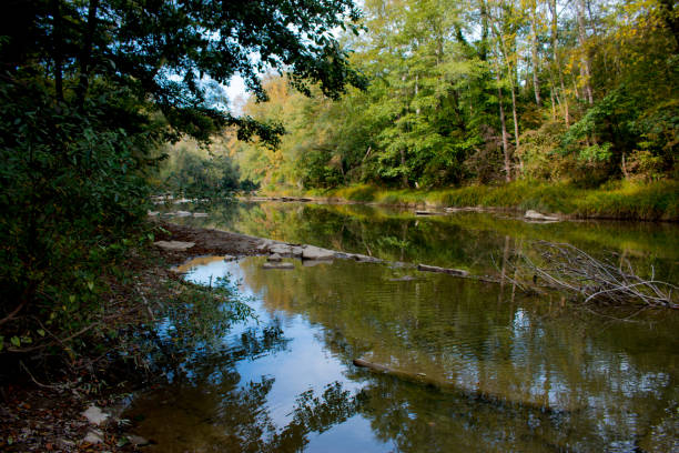 istock On the shore of the river 859257864