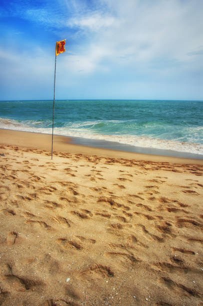 istock Beach with flag of Sri Lanka 859258794