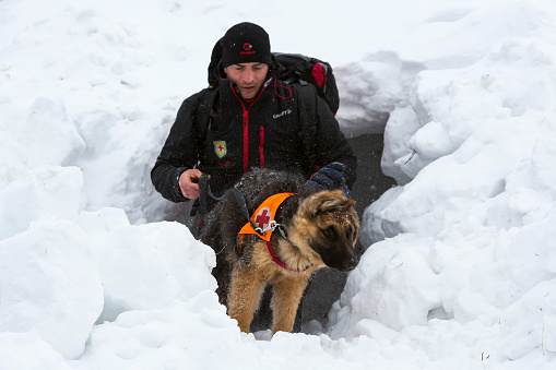 Sofia: Rescuer from Mountain rescue service at Red Cross organization participates in a training with his dog. Both men and animals are trained before going on duty.