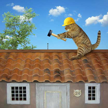 The cat builder in a construction helmet is fixing a roof.