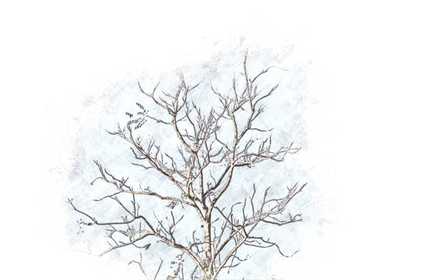 istock Abstract tree on watercolor painting background 859260978