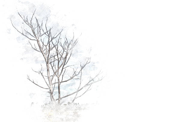 istock Abstract tree on watercolor painting background 859261494