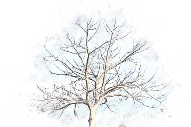 istock Abstract tree on watercolor painting background 859261554