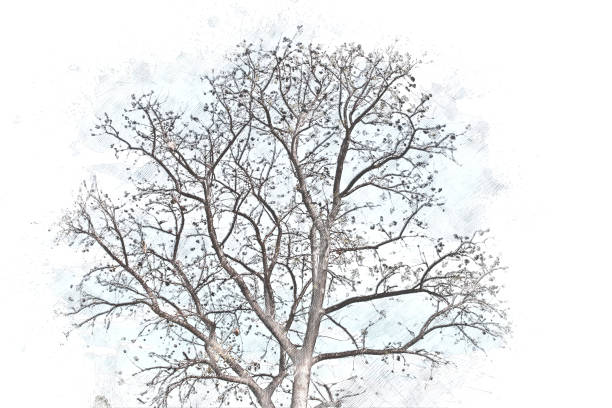 Abstract tree on watercolor painting background