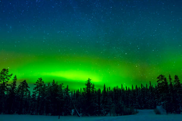 istock Bright Northern Lights above the Winter Forest 859262586