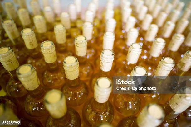 White Wine Bottles In A Winery Stock Photo - Download Image Now - Freight Transportation, Wine, Aging Process