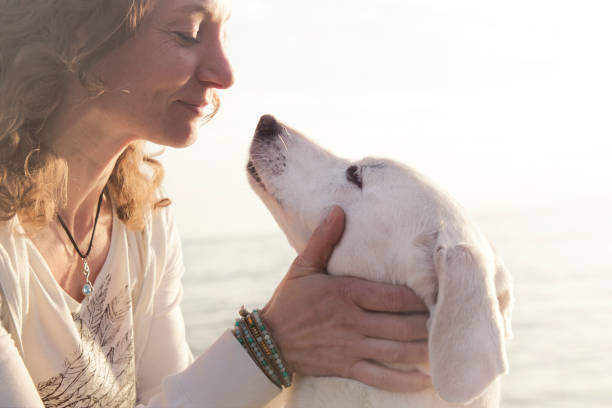 istock His owner dog licks gently, loving gesture 859273426