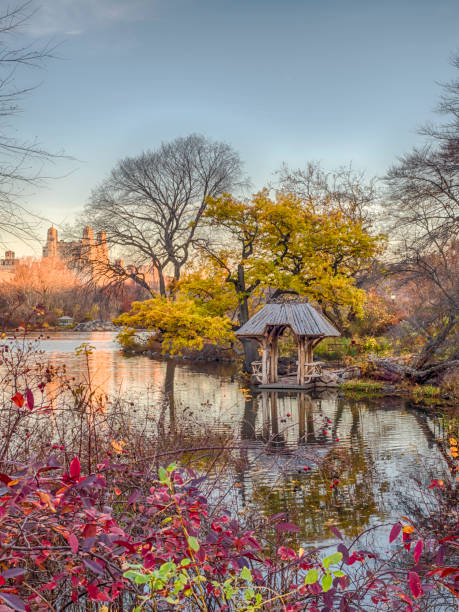 istock Central Park, Wagner Cove 859273990