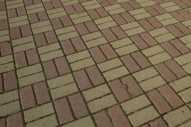 istock Sidewalk textured background. Detail of a pavement 859276354