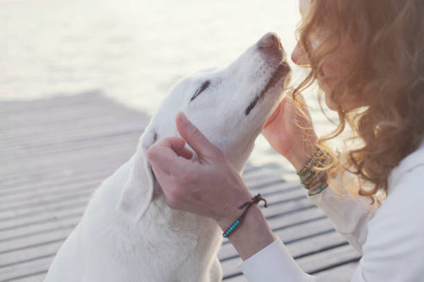 istock woman gently caresses her dog 859276818