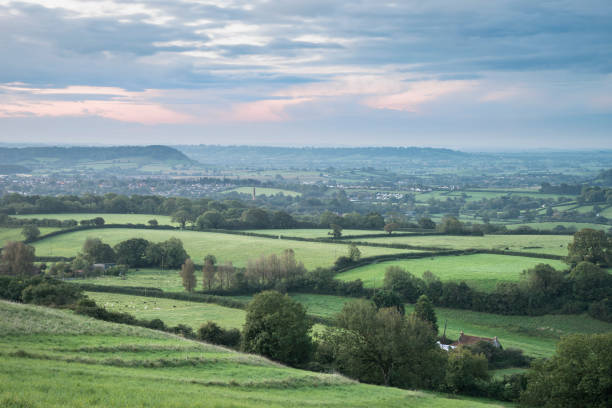 bellissimo paesaggio all'alba sui livelli del somerset nella campagna inglese - somerset levels foto e immagini stock