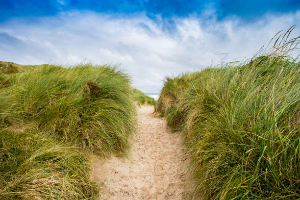 istock A path through the sand dunes, Bamburgh Beach. 859281710