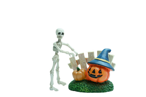 istock Halloween concept : Plastic human skeleton model  and ceramic pumpkins isolated on white background 859288090