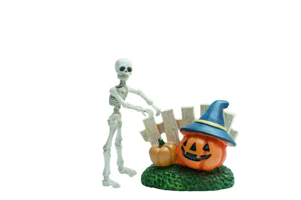 Photo of Halloween concept : Plastic human skeleton model  and ceramic pumpkins isolated on white background