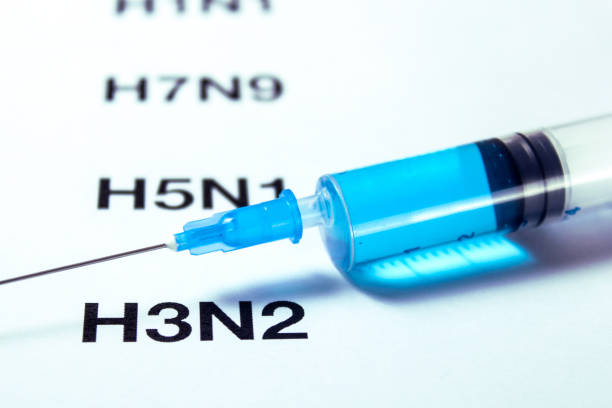 istock H3N2 Virus Influenza Virus Replication Cycle and syringe with vaccine 859288614