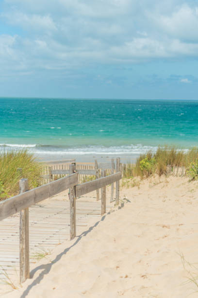 istock ile de re beach in france 859291914