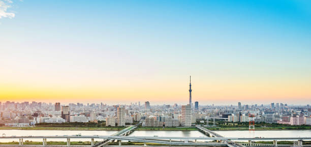 bird eye aerial view with tokyo skytree under dramatic sunset glow and beautiful cloudy sky in Tokyo, Japan Business and culture concept - panoramic modern city skyline bird eye aerial view with tokyo skytree under dramatic sunset glow and beautiful cloudy sky in Tokyo, Japan tokyo prefecture tokyo tower japan night stock pictures, royalty-free photos & images