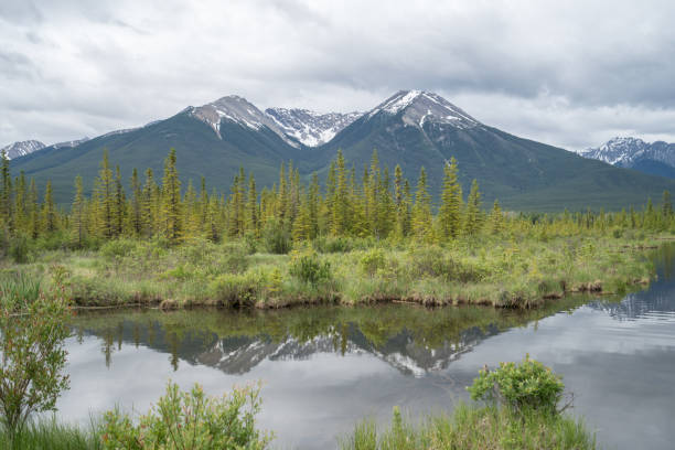 istock Vermillion Lake, Banff National Park 859293568