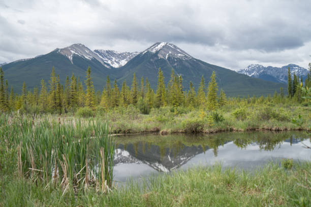 istock Vermillion Lake, Banff National Park 859293592
