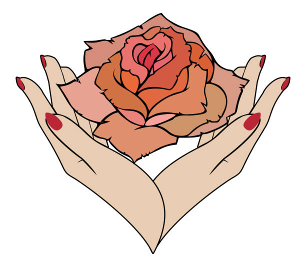 illustrations, cliparts, dessins animés et icônes de vector est passé en mains féminines - white background beauty and health flower human hand