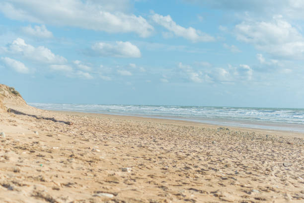 istock ile d'oleron beach in France 859307438