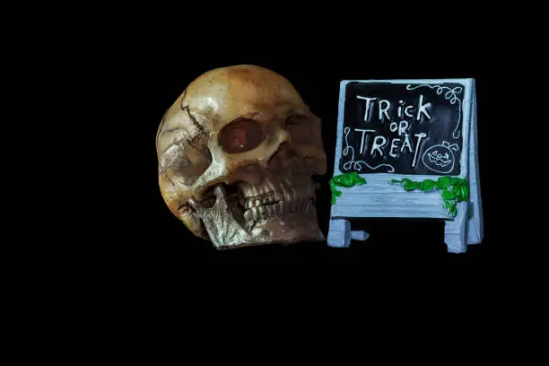 Photo of Halloween concept : Low key image of skull model and ceramic Trick or Treat sign isolated on black background
