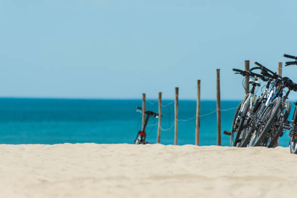 istock bicycles at ile d'oleron beach in france 859308120