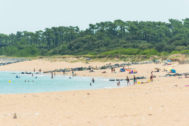 istock ile d'oleron beach in France 859315152
