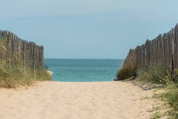 istock ile d'oleron beach in France 859318338