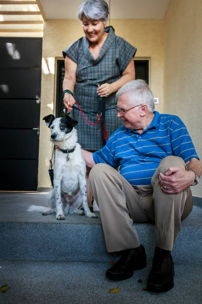 istock Senior couple playing with dog 859319296