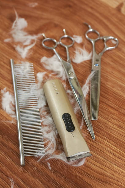 istock Comb, hair clipper and scissors. 859321946