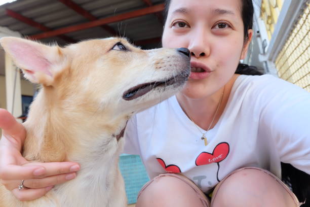 istock Asian woman selfie with dog 859325972