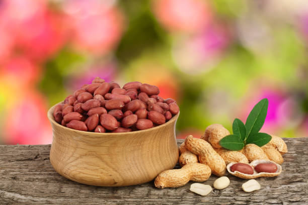 istock peanuts with leaf in bowl on old wooden table with a blurry garden background 859329100