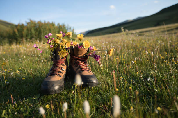 hiking boots with beautiful flowers in grassland mountains top stock photo
