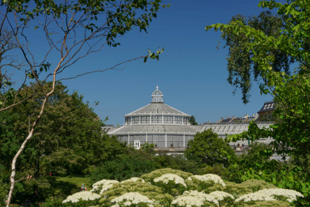 Copenhagen, Denmark - June 18, 2017: The Botanical Garden in Copenhagen Denmark in the early morning.