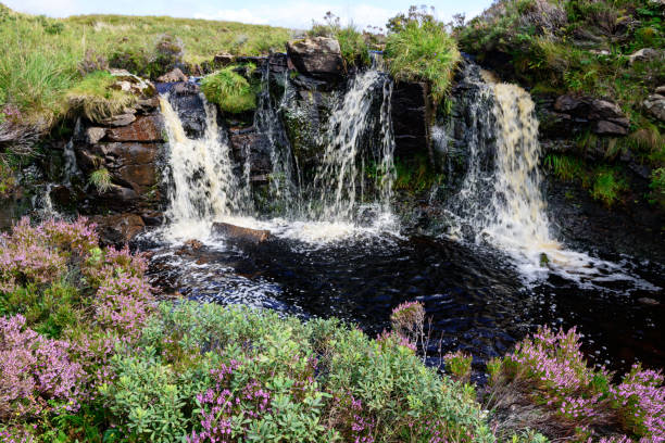 istock Waterfall and heather  at Ramasaig, Isle of Skye, Scotland 859335930